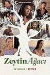 Zeytin Ağacı